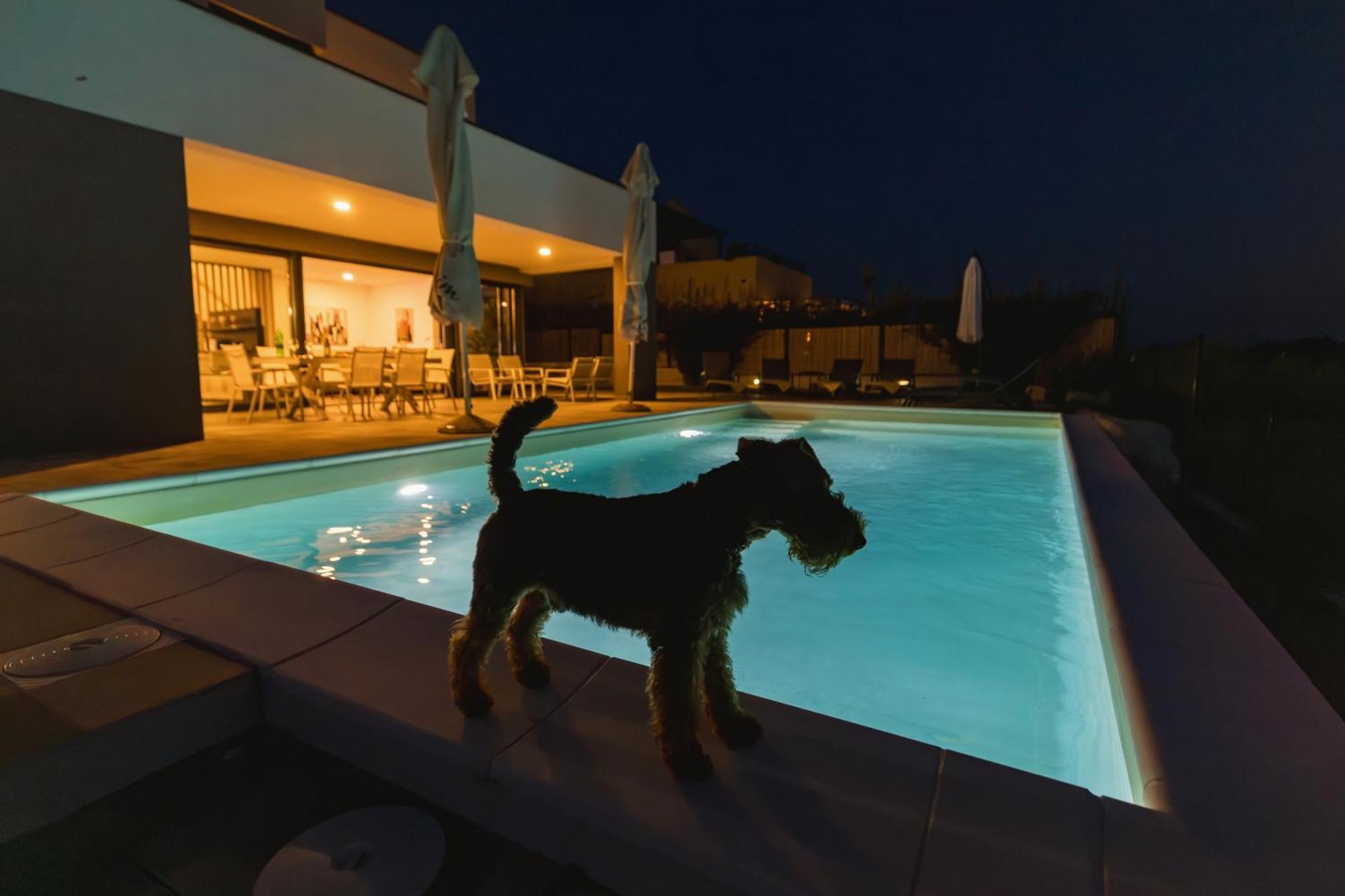 Villa Boiky - Private Pool And Amazing Sea View, Istria Materada Kültér fotó