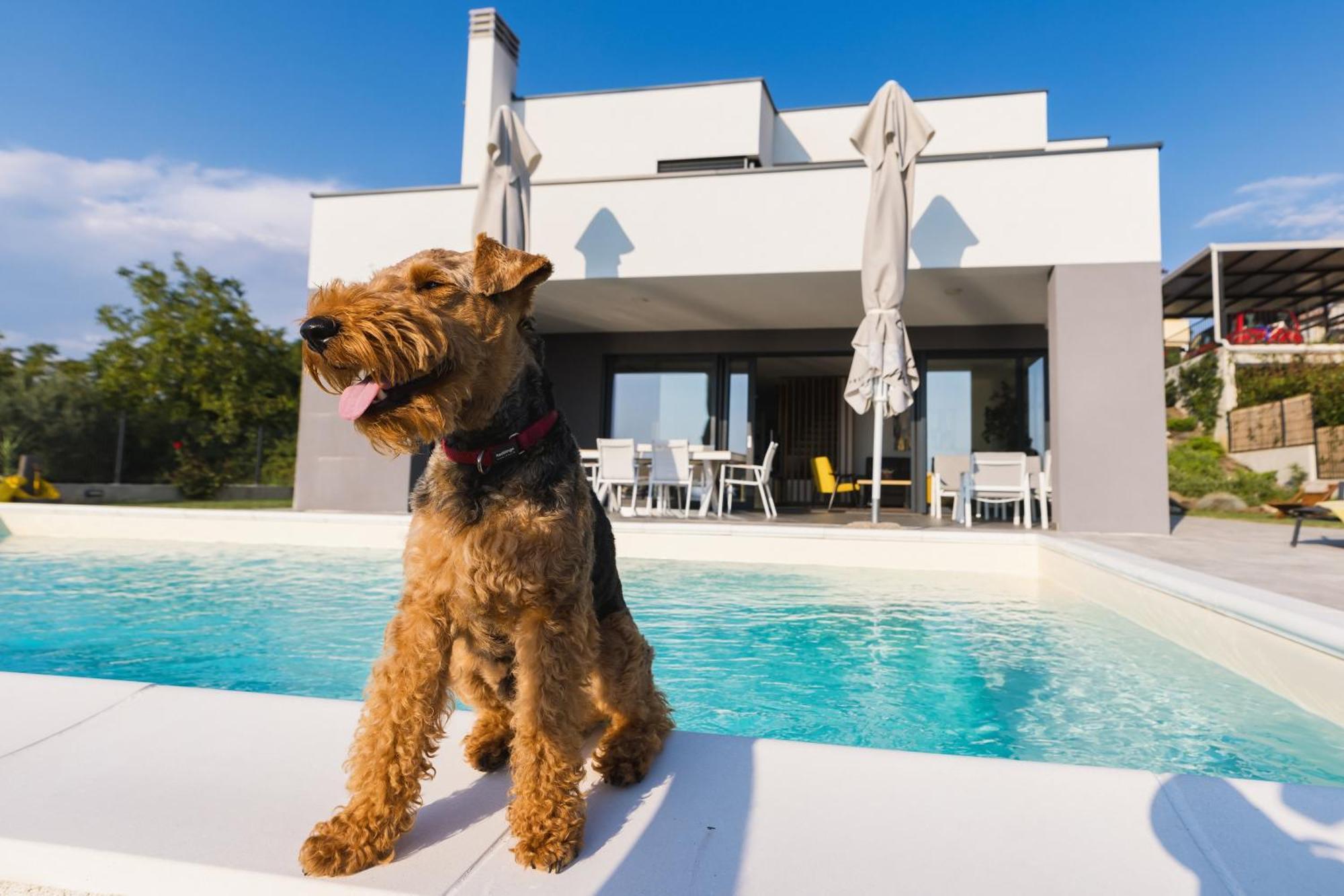 Villa Boiky - Private Pool And Amazing Sea View, Istria Materada Kültér fotó